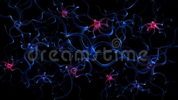 神经元细胞视频的预览图