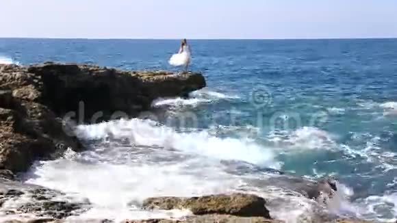 新娘站在岩石上视频的预览图