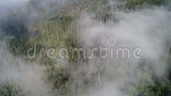 在美丽的云彩中用松林飞越高山空中景观视频的预览图