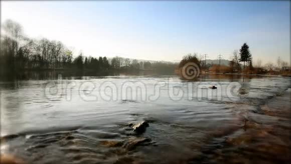 背景树木河流总镜头视频的预览图