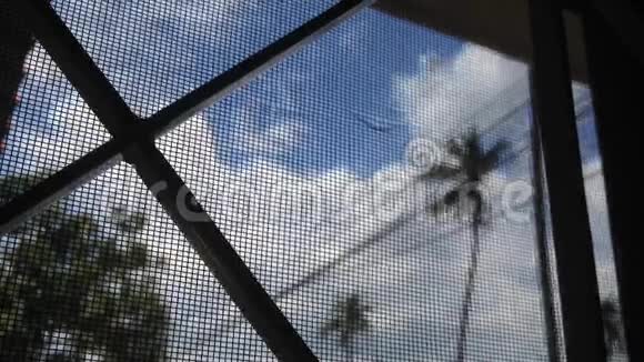 有天空和云层时间的椰子树有选择地聚焦在窗纱上视频的预览图