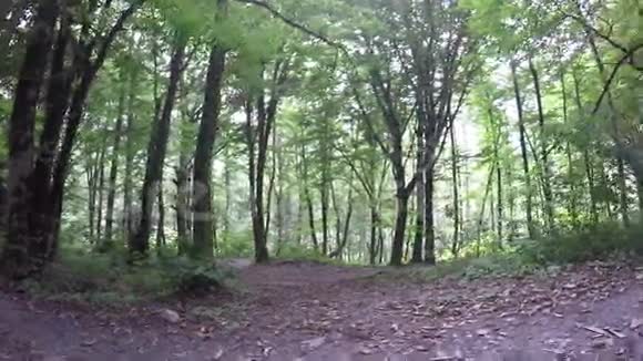妈妈在树林里牵着女儿的手一家人在树林里散步去大自然的旅行新鲜健康的空气视频的预览图
