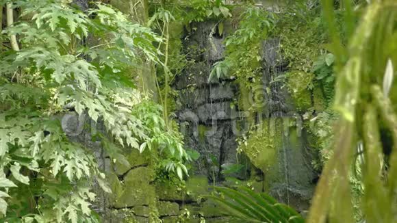 热带雨林中的热带瀑布落和流水落在岩石上水滴落在水和石头上视频的预览图