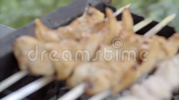在烧烤架上用木炭烤制腌制的沙士利克Shashlik是一种流行于视频的预览图