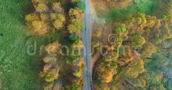 高空俯视在五彩缤纷的乡村秋林中沿路而下秋天的橙绿黄红树视频的预览图