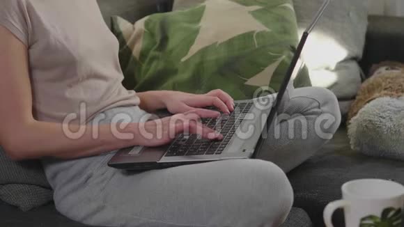 年轻女子坐在沙发上在笔记本电脑上工作视频的预览图