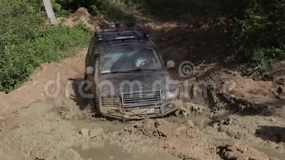 远征越野车在肮脏的道路上缓慢地穿过树林视频的预览图