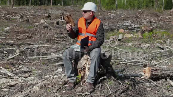 环境检查员检查被毁森林中的一块木头视频的预览图