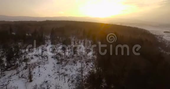 空中观景冬季森林景观美丽的自然日落的黄昏视频的预览图