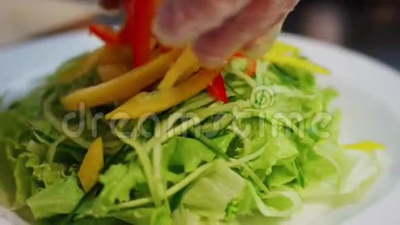 厨师做素食沙拉视频的预览图