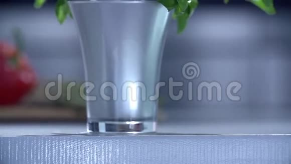 银色花瓶里漂亮的装饰植物视频的预览图