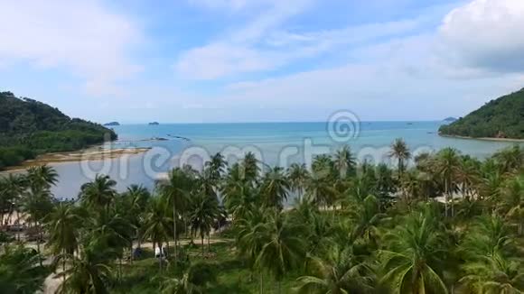 飞越泰国萨梅热带岛棕榈树林鸟瞰图视频的预览图