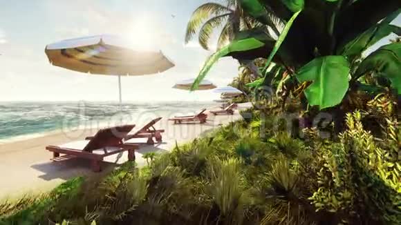 热带岛屿上的棕榈树在阳光明媚的日子里带着异国情调的白色海滩蓝天美丽的夏天视频的预览图