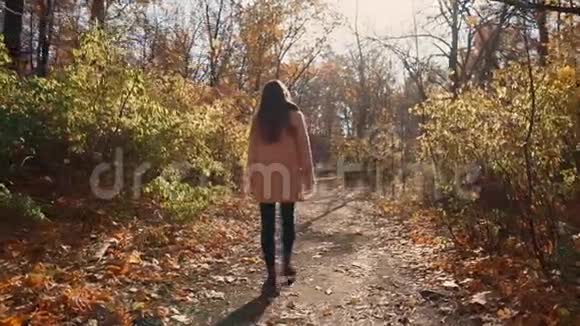 一个人在森林里散步的女孩视频的预览图