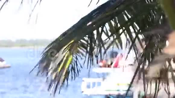 风接触棕榈模糊的背景船游艇海洋巴厘岛印度尼西亚热带岛屿港视频的预览图