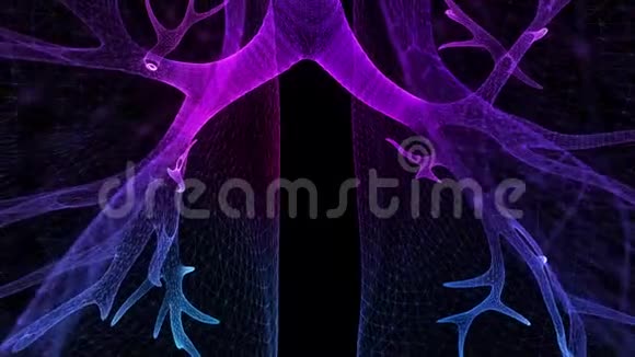 人的肺蓝光点和线形成人肺模型三维虚拟空间中的运动神经元视频的预览图