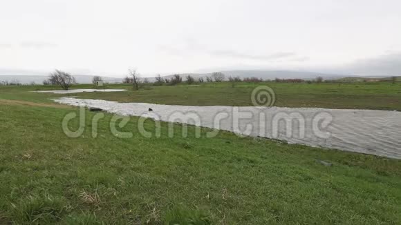春季大雨后农业湿地俄罗斯视频的预览图