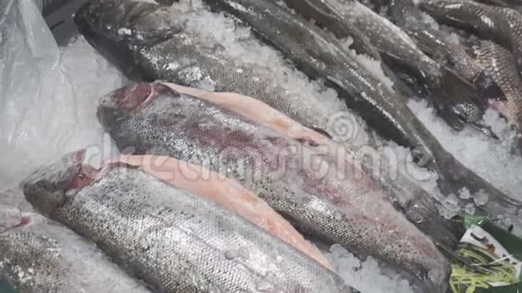 市场柜台上的新鲜冷冻鱼视频的预览图