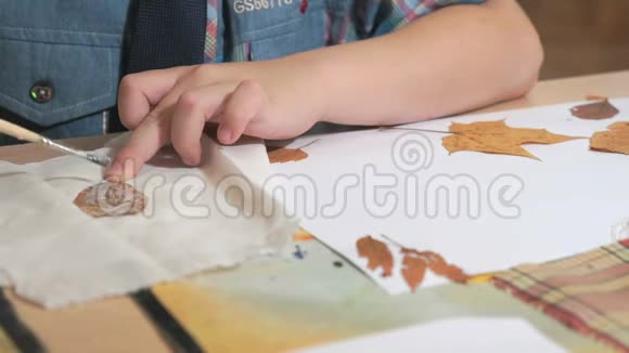 小男孩用树叶做标本室视频的预览图