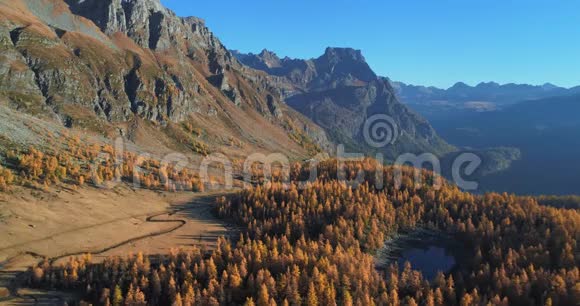 在阳光明媚的秋天在高山河谷湖泊和橙色落叶松森林树林上空向前飞行阿尔卑斯山脉视频的预览图