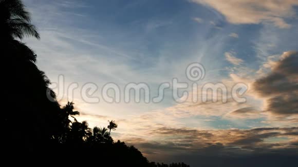 早晨的云彩笼罩着棕榈树的轮廓视频的预览图