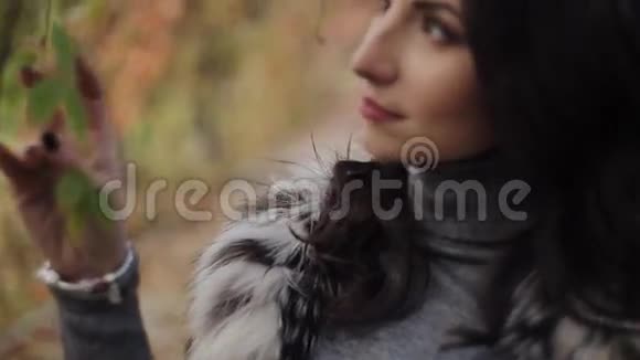 美丽的黑发女孩走在秋天公园视频的预览图