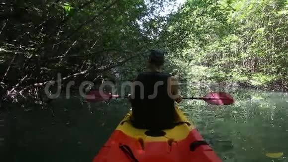 人在独木舟上沿着泻湖在树影中漂流视频的预览图