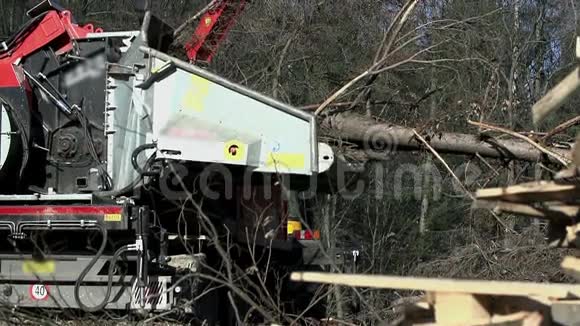 机器把树拉到切碎的颗粒上视频的预览图