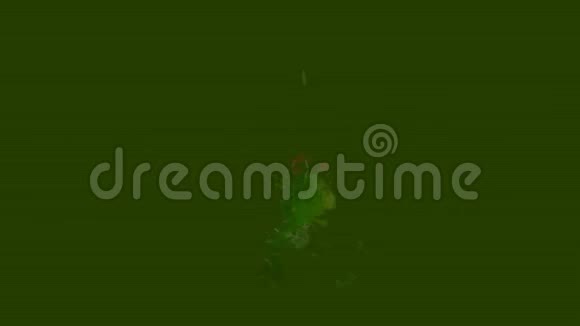 水彩圣诞树装饰绿杉树上的阿尔法通道视频的预览图