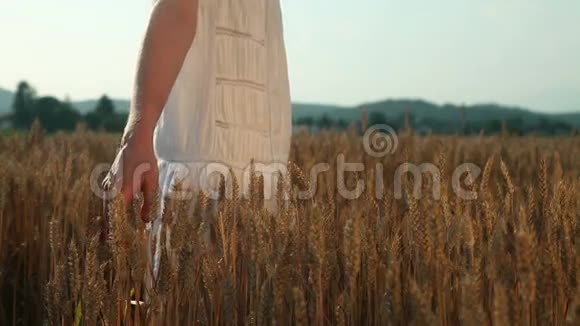 一个女人的手摸着麦粒视频的预览图