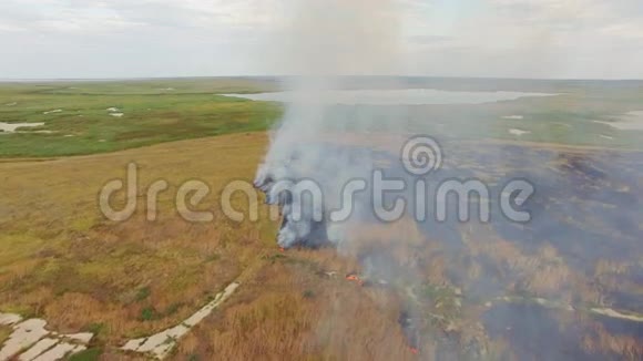 湖边的乡村田野燃烧视频的预览图