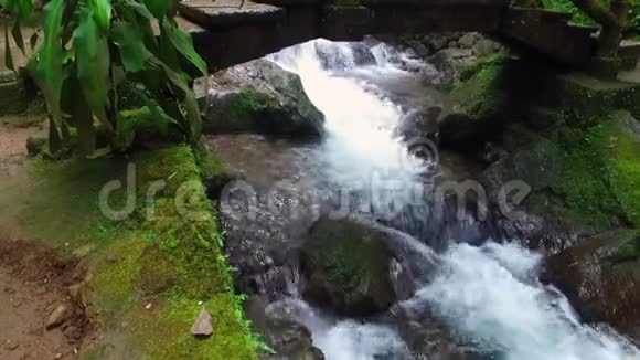 印尼爪哇瀑布视频的预览图