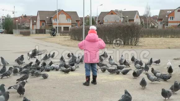 小孩子在公园里吓唬鸽子视频的预览图