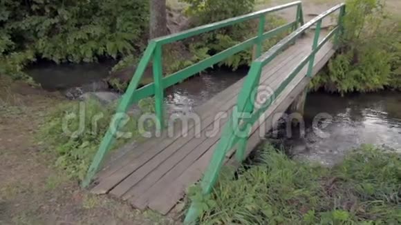 在绿色森林中流淌的河流上的门槛视频的预览图