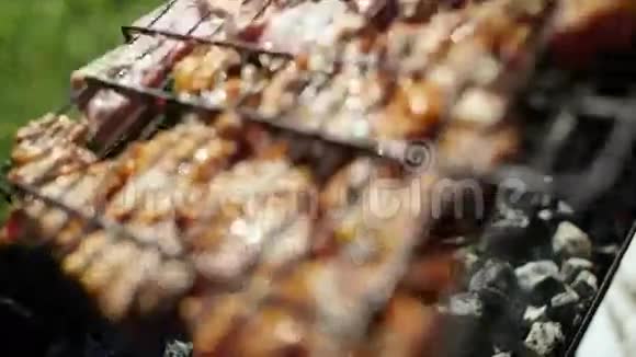 BBQ布拉齐尔的煤烤架上的肉视频的预览图
