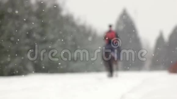 男人骑马骑着一匹棕色的大马在美丽的雪冬景观中男性骑手优雅大方视频的预览图