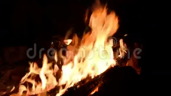 熊熊燃烧的篝火视频的预览图