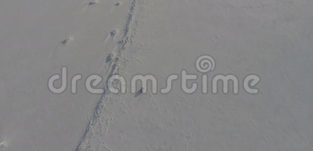 穿越北冰洋的旅行者乘坐全地形车视频的预览图
