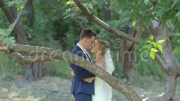 新娘和新郎拥抱亲吻和微笑在他们的婚礼当天在公园视频的预览图