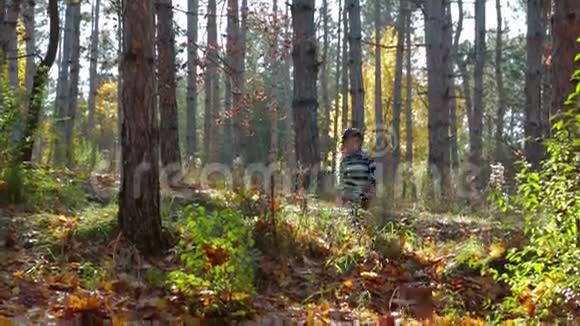 快乐的孩子在秋天的森林里奔跑视频的预览图