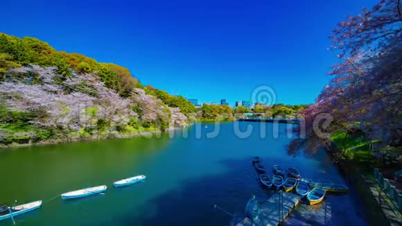 春景中东京樱花池池池的一段时间视频的预览图