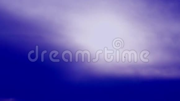 鸟儿在紫罗兰魔法天空中飞翔视频的预览图