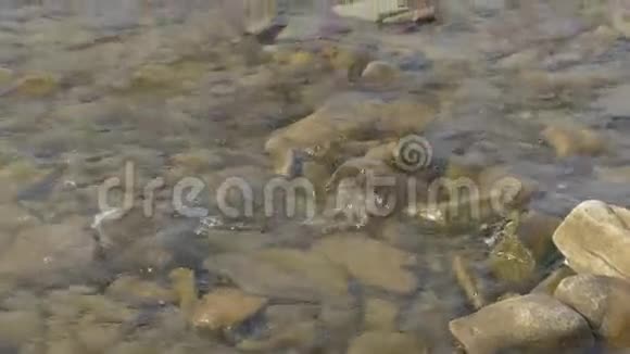 秋天在这美丽的山景中一条河流流过岩石视频的预览图