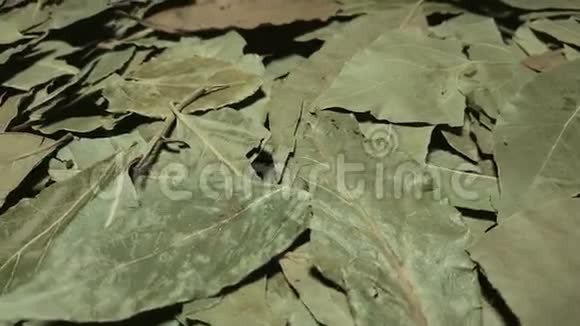 干燥的海湾叶子在桌子上旋转视频的预览图