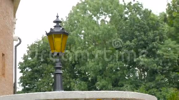 公园城市美丽的老式灯笼和沙棘视频的预览图