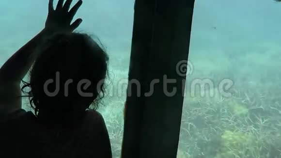 在澳大利亚昆士兰大堡礁珊瑚海的半潜艇上的儿童旅行视频的预览图