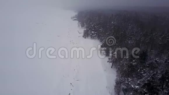 雪飞过冬海视频的预览图