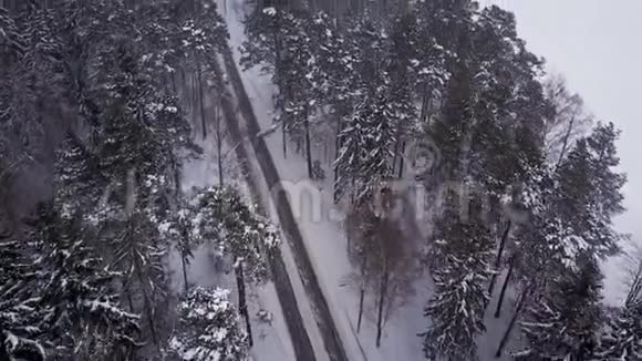 雪飞过冬海视频的预览图
