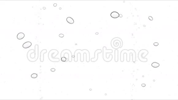 水下气泡在白色背景与阿尔法视频的预览图