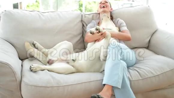 笑的女人在沙发上抚摸她的拉布拉多狗视频的预览图